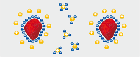 diagram of the electrical double layer on pigment surfaces