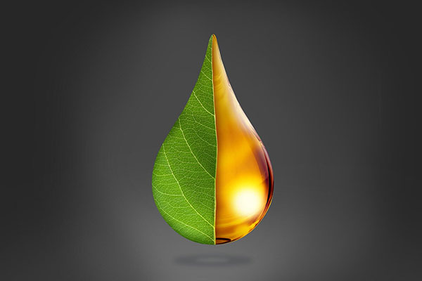 Covestro is using renewable feedstocks and wind energy to produce Makrolon RE, the world’s first “climate-neutral” polycarbonate. (Courtesy of Covestro AB) 