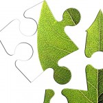 The puzzle of formulating natural cosmetics