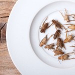 Insects as a protein source? Food expert Jill Frank discusses the alternative, sustainable protein options in this Prospector Industry Insights podcast.