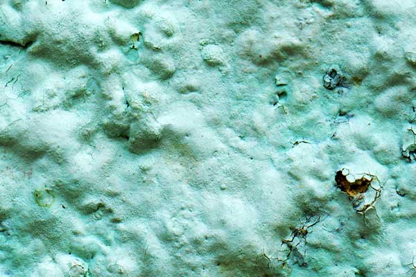 Bleeding, blistering and metamerism - what causes these paint and coating failures? Find out in this article by expert Marc Hirsch in the Prospector Knowledge Center.