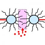 Learn about dispersants for steric stablilization in the Prospector Knowledge Center.