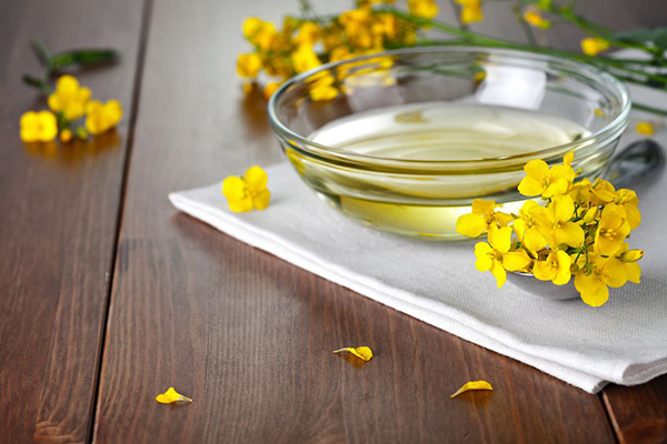 High-Oleic Oils: Food safety and nutritional benefits