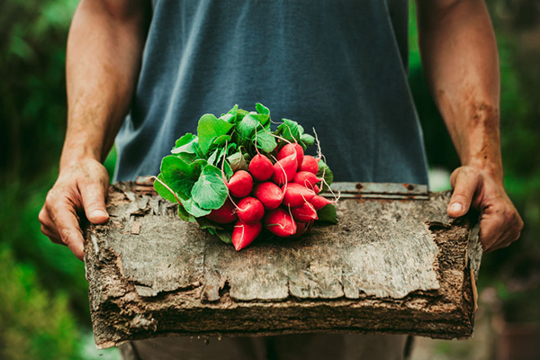 Are organic and non-GMO foods healthier? Get a dietitian's take in the Prospector Knowledge Center.