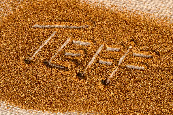 Teff is an ancient grain with great nutritional value but comes with some food formulation challenges. Learn more in the Prospector Knowledge Center.