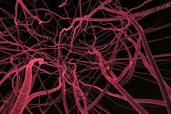 microstructural organic nano fiber closeup - learn more about biopolymers in regenerative medicine in the Prospector Knowledge Center.