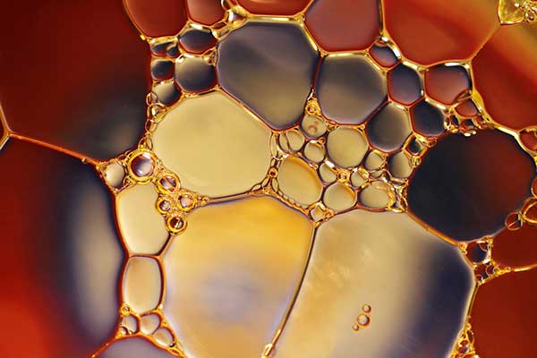 Raw Material and Ingredient, News, Articles and Videos | Prospector