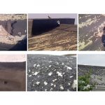 Roof paint - Learn more about this head scratcher on roof paint