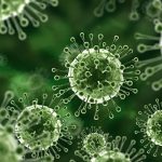 microbial under a microscope - Remain Bug Free with Antimicrobial Coatings