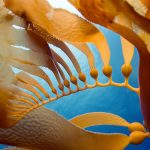 Photo of seaweed - Learn more about carrageenan