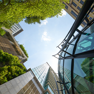Buildings and trees