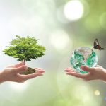 Hands holding out a tree and a ball of water