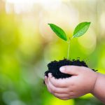 a child's hands holding a small plant in soil