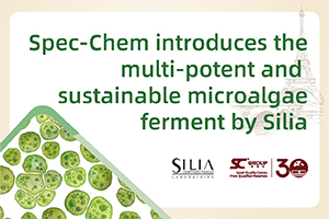 specchem-300x200