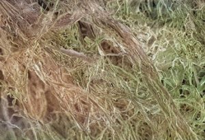 Cellulose