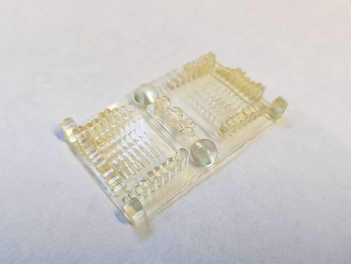 3D printing models using plant-based polymeric resin