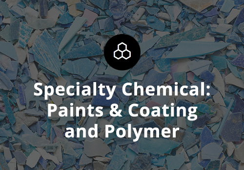 Specialty Chemical: Paints and Coating and Polymer